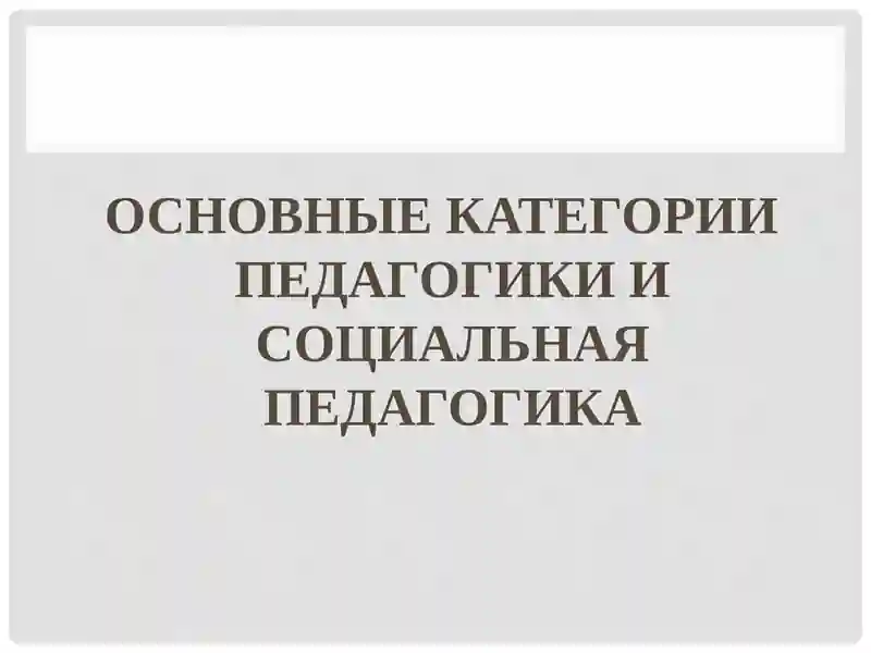 ОСНОВНЫЕ КАТЕГОРИИ ПЕДАГОГИКИ И СОЦИАЛЬНАЯ ПЕДАГОГИКА