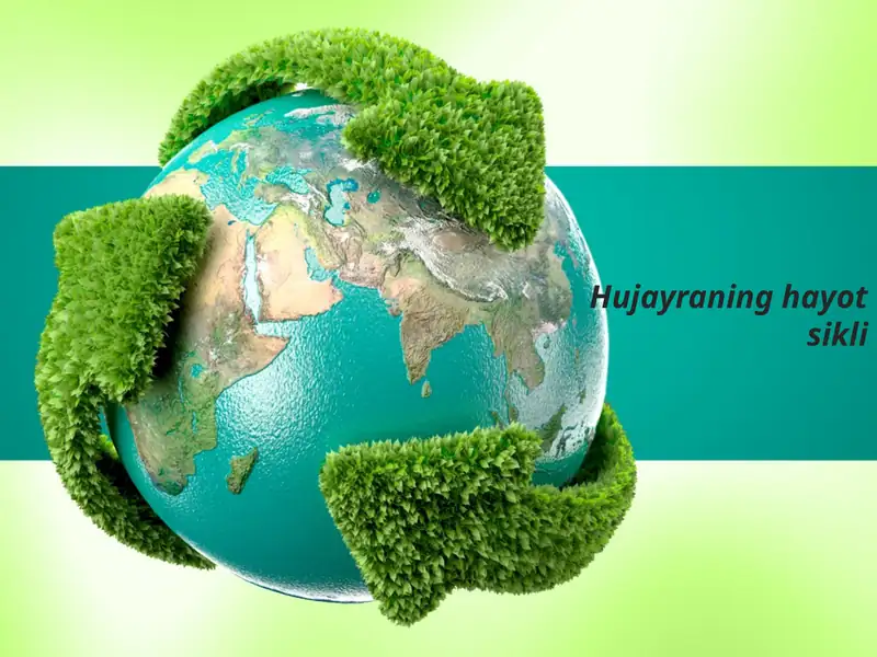 Hujayraning hayot sikli 1