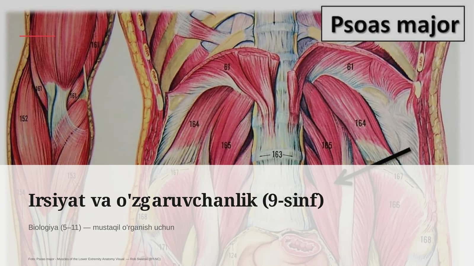 Irsiyat va o'zgaruvchanlik (9-sinf) 1