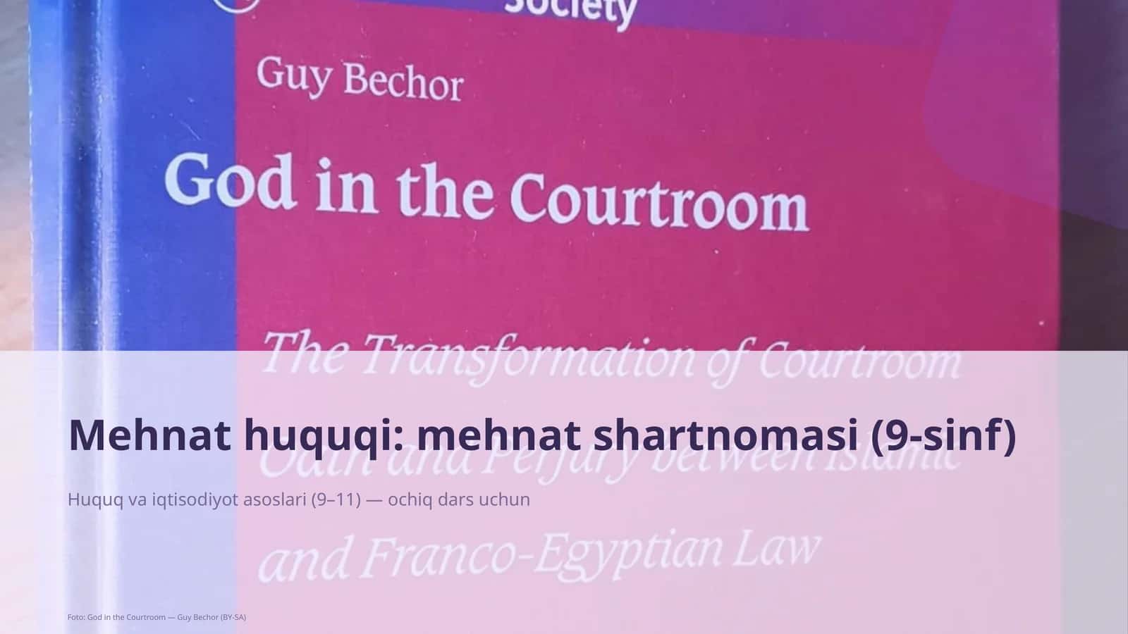 Mehnat huquqi: mehnat shartnomasi (9-sinf) 1