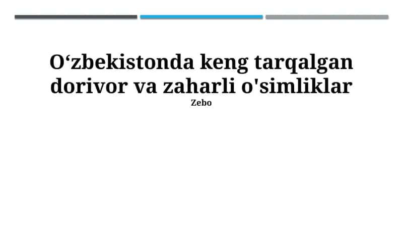 Qoraqalpoq bodomi 1