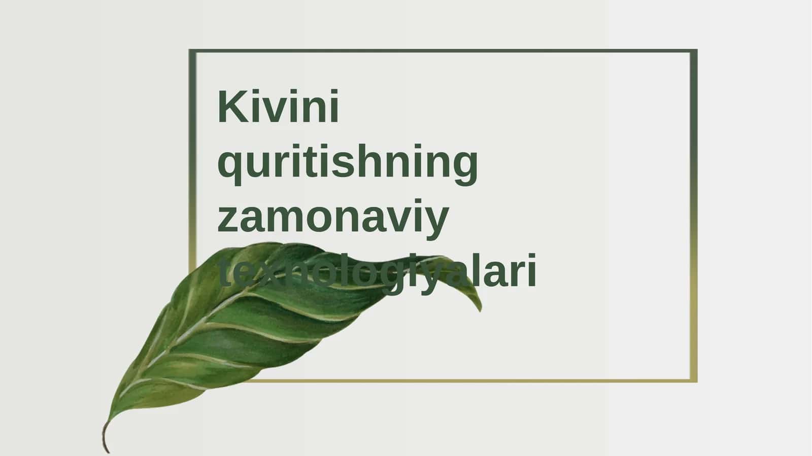 Kivini quritishning zamonaviy texnologiyalari 1