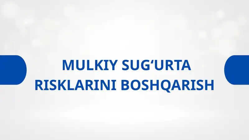 MULKIY SUGʻURTA RISKLARINI BOSHQARISH . 1