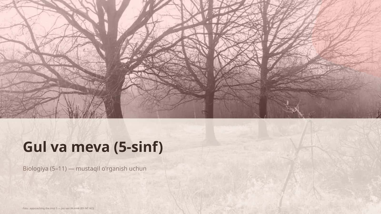 Gul va meva (5-sinf) 1
