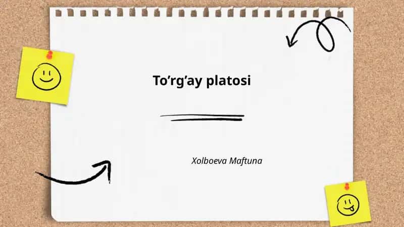 To’rg’ay platosi 1
