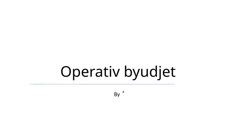 Operativ byudjet 1