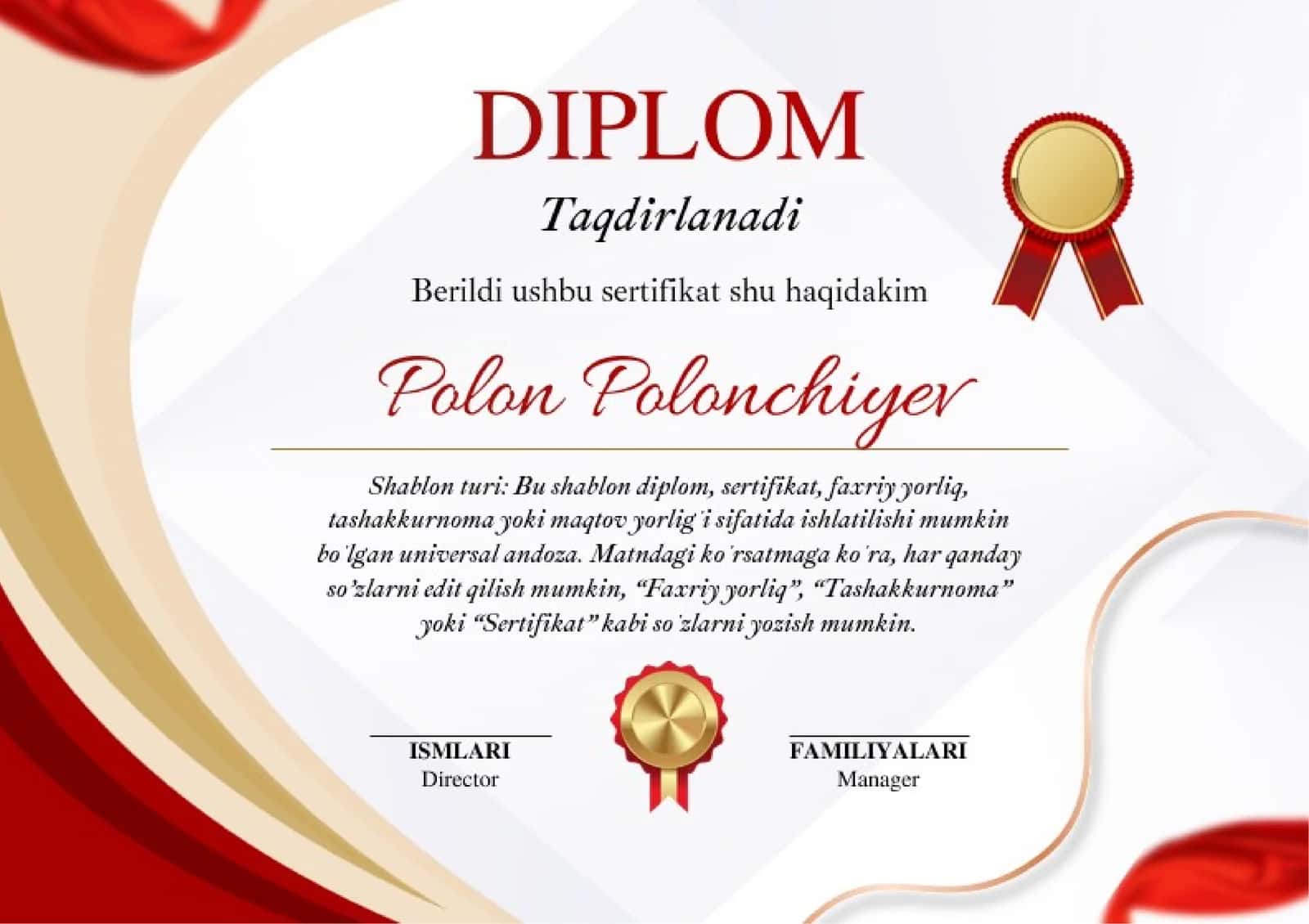 DIPLOM 1