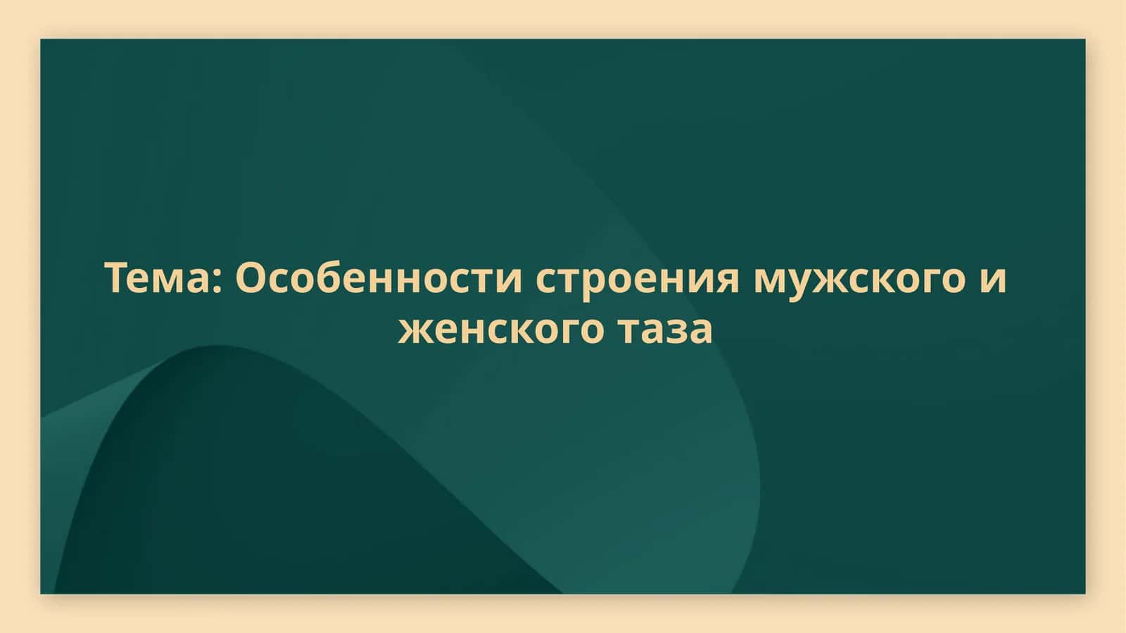 Особенности строения мужского и женского таза 1