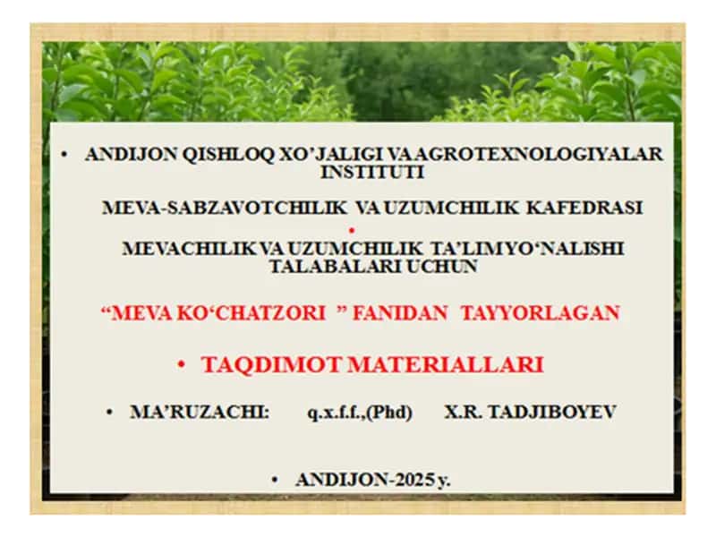 Meva ko‘chatzorining ikkinchi dalasida Tadbirlar Reja 1
