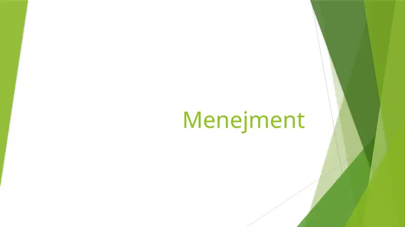 Menejment 1