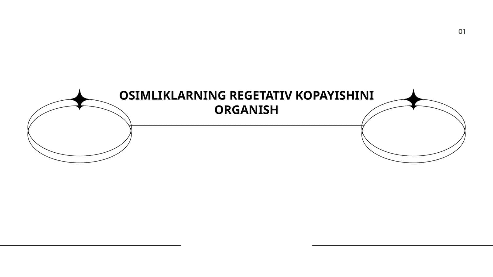 OSIMLIKLARNING REGETATIV KOPAYISHINI ORGANISH by MUHAMMADAMINOVA SAMIRA 1