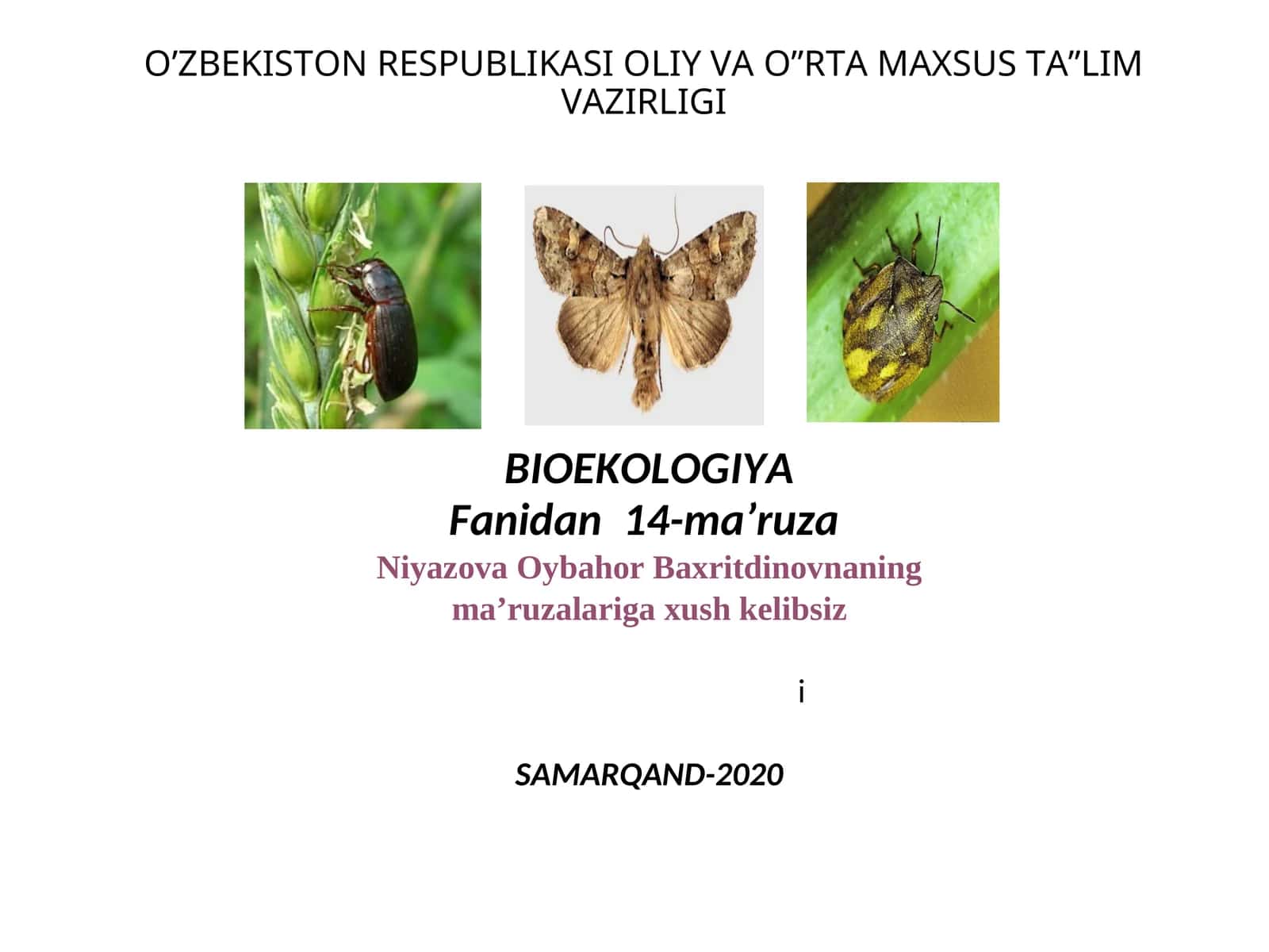 BIOEKOLOGIYA Fanidan 14-ma’ruza 1