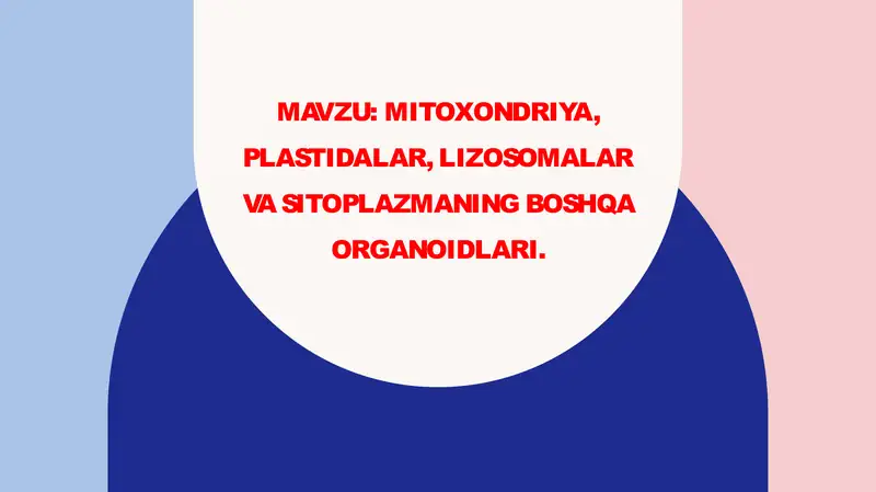 Hujayra organoidlari; 1