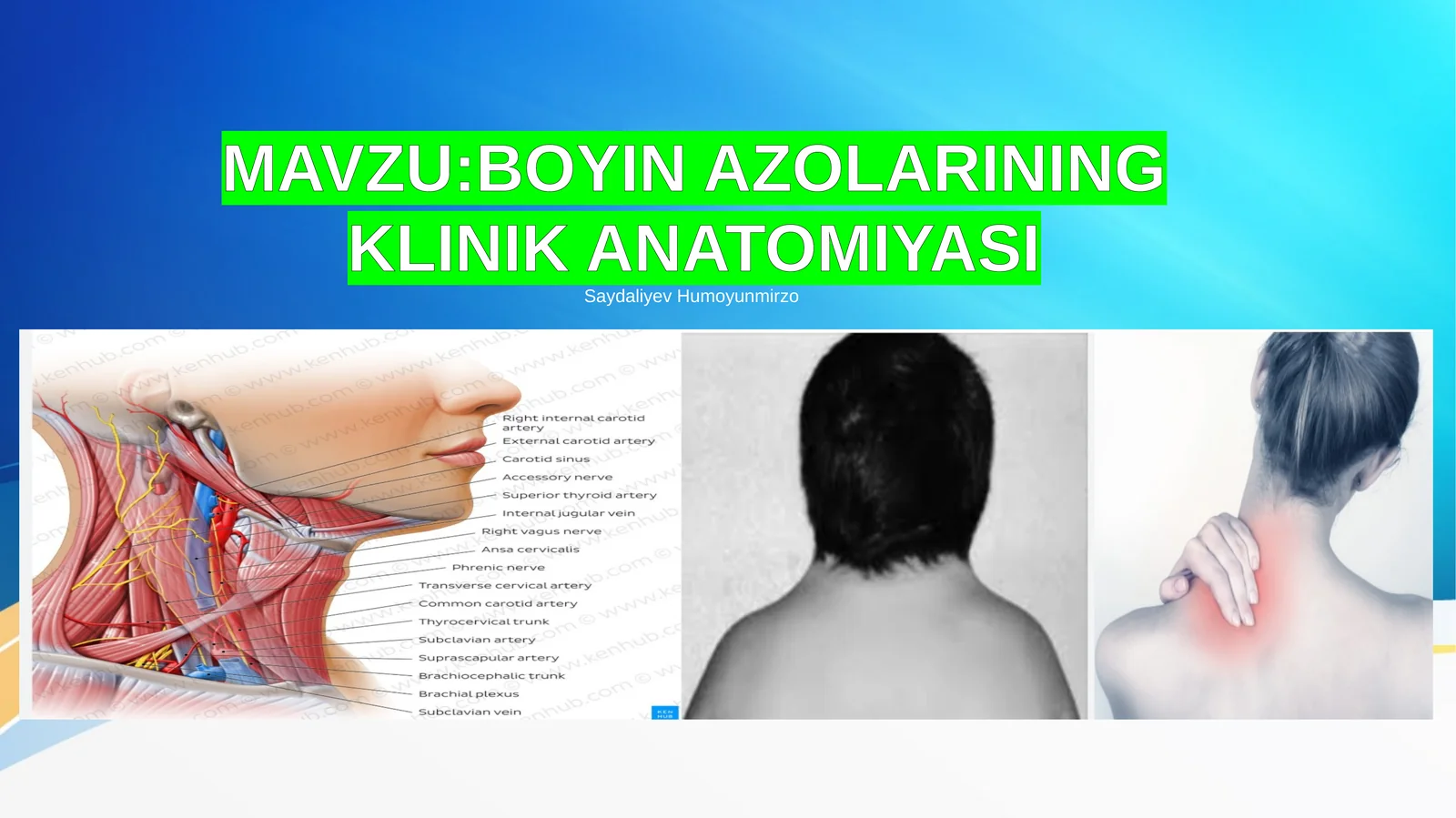 BOYIN AZOLARINING KLINIK ANATOMIYASI 1