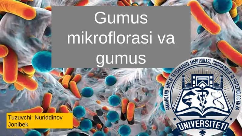 Gumus Mikroflorasi va Gumus: Tuproq Unumdorligining Asosiy Omili 1