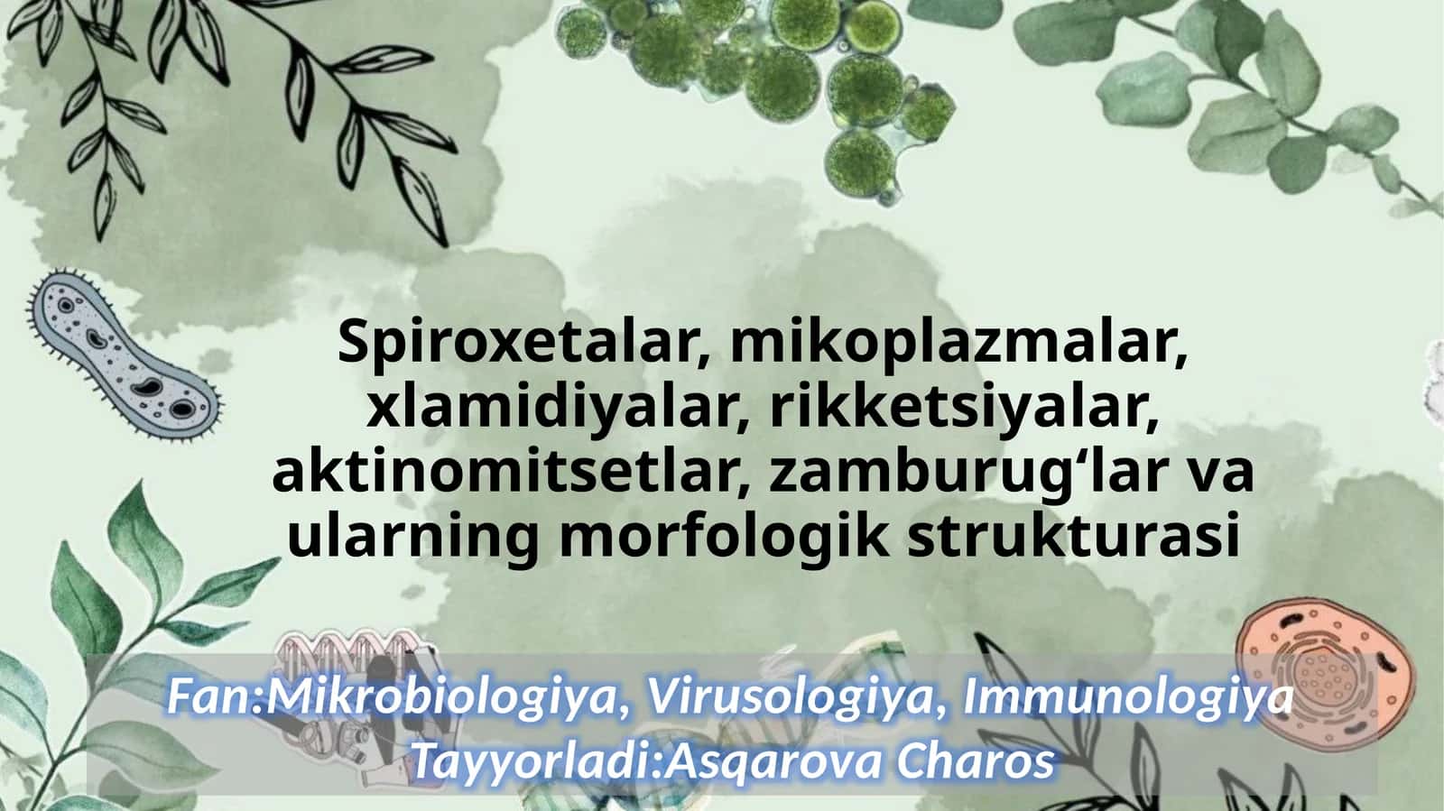 Spiroxitalar rekketsiyalar mikroplazmalar xlamidiyalar aktinomisyetlar va ularning morfologik strukturasi 1