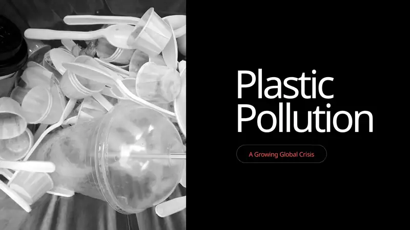 Plastic Pollution 1