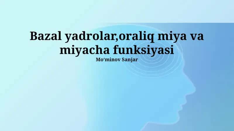 Bazal Gangliyalar va miyacha funktsiyasi 1