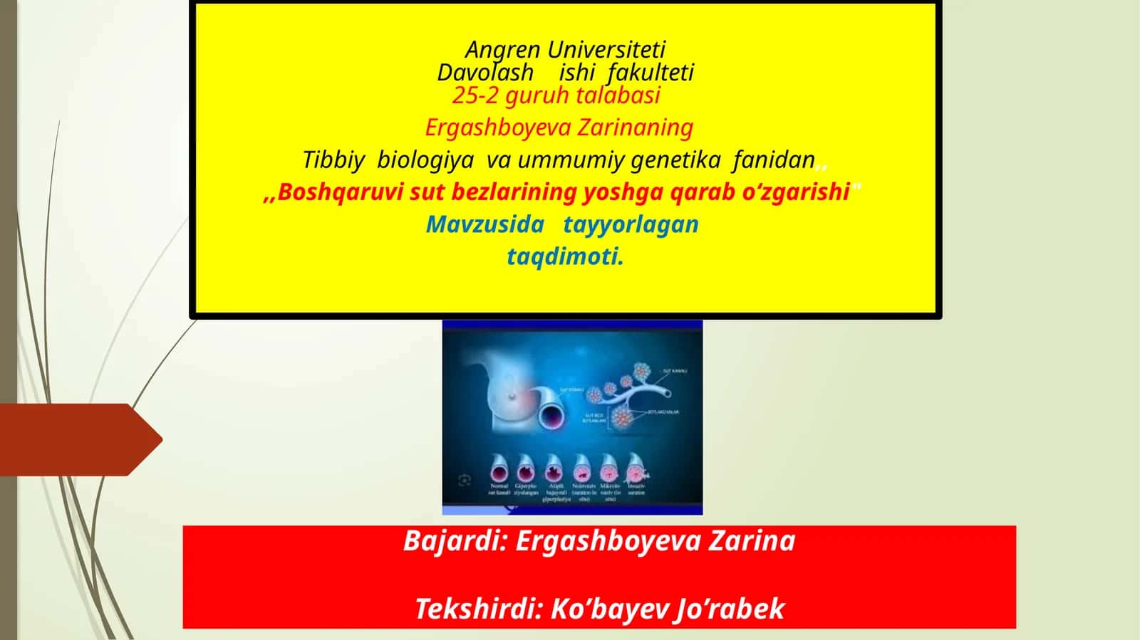 Tibbiy biologiya va umumiy genetika fanidan sut bezlarining yoshga qaraboʻzgarishi 1