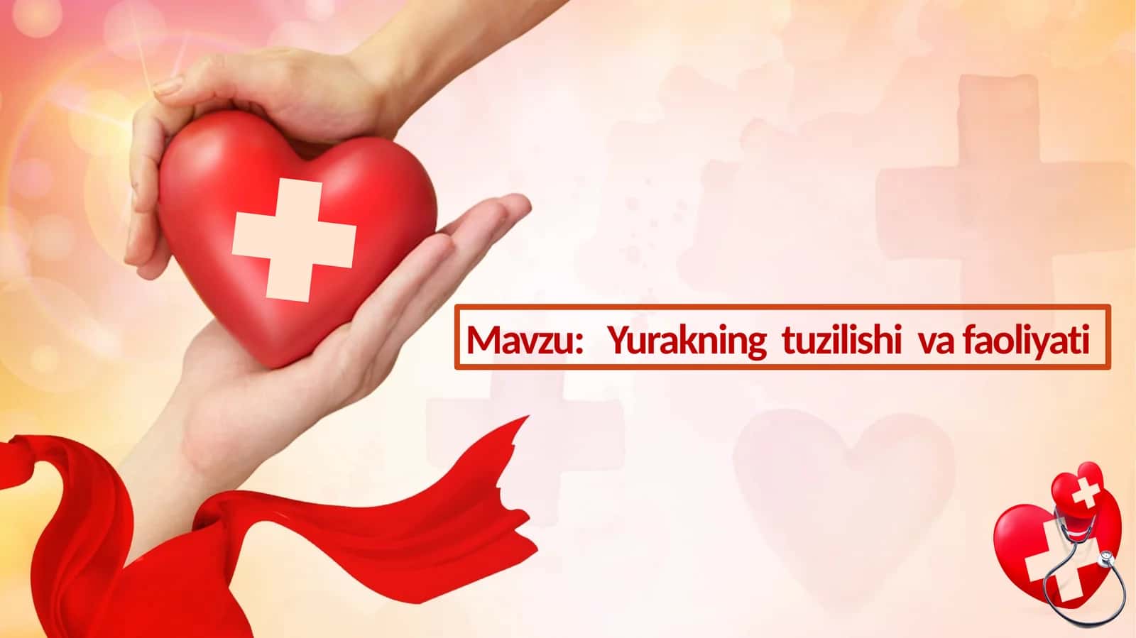 Yurakning tuzilishi va faoliyati 1