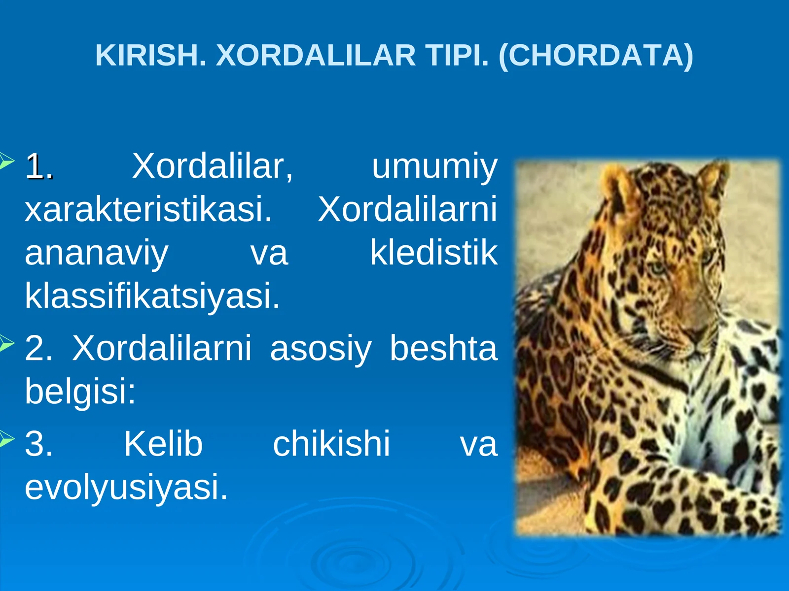 Xordalilar tipi 1