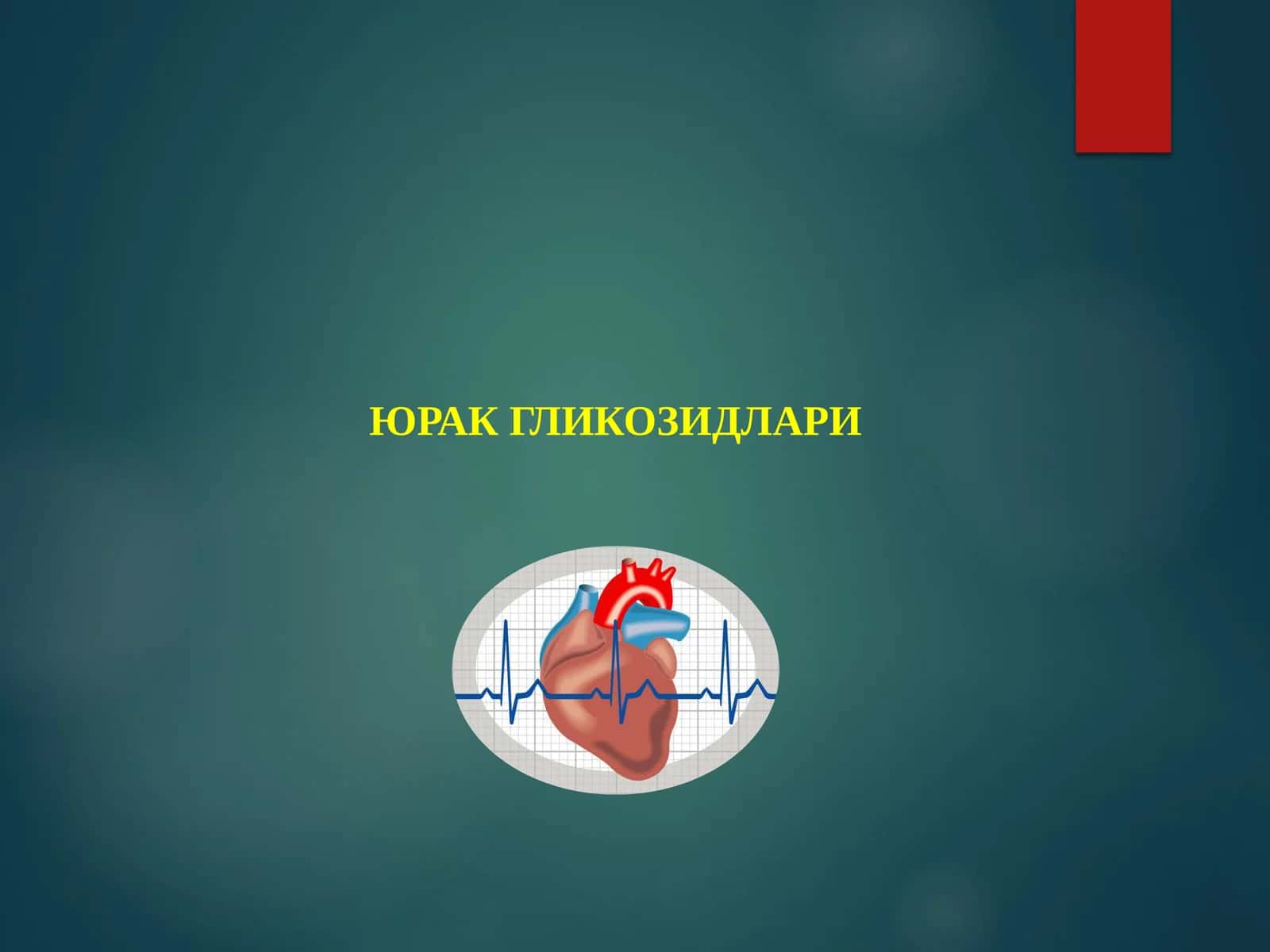 ЮРАК ГЛИКОЗИДЛАРИ 1