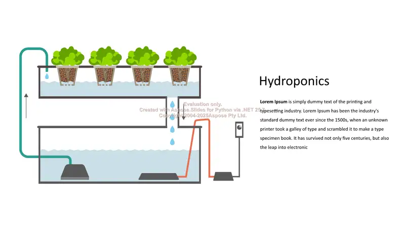 Hydroponics 1