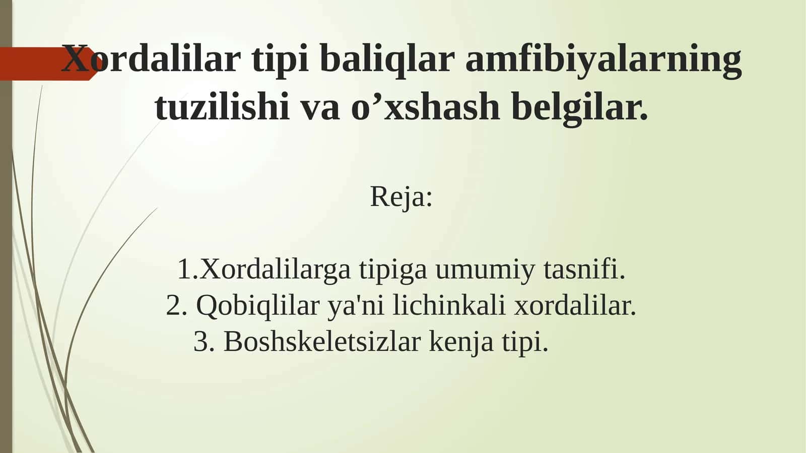 Xordalilar tipi baliqlar amfibiyalarning tuzilishi va o’xshash belgilari 1