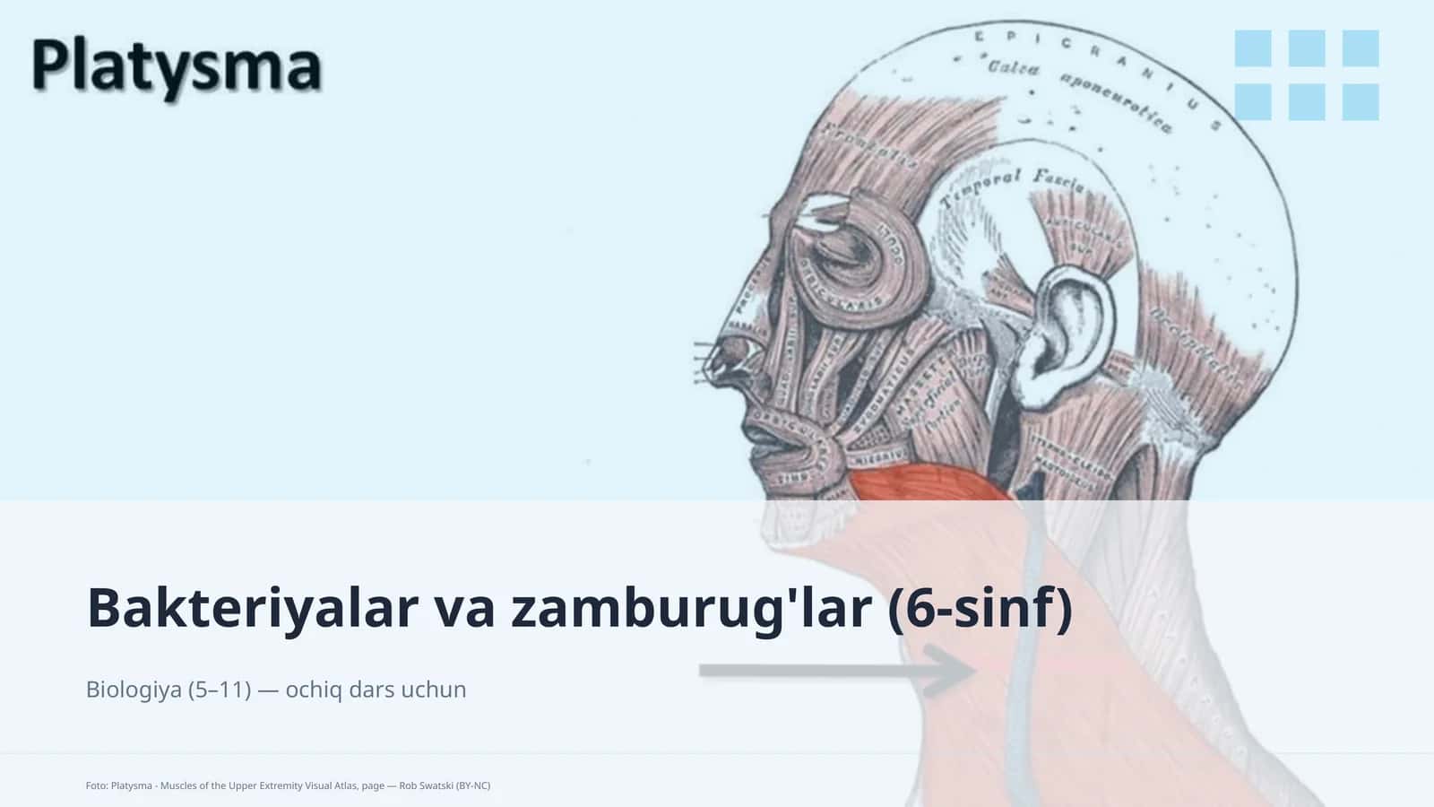 Bakteriyalar va zamburug'lar (6-sinf) 1