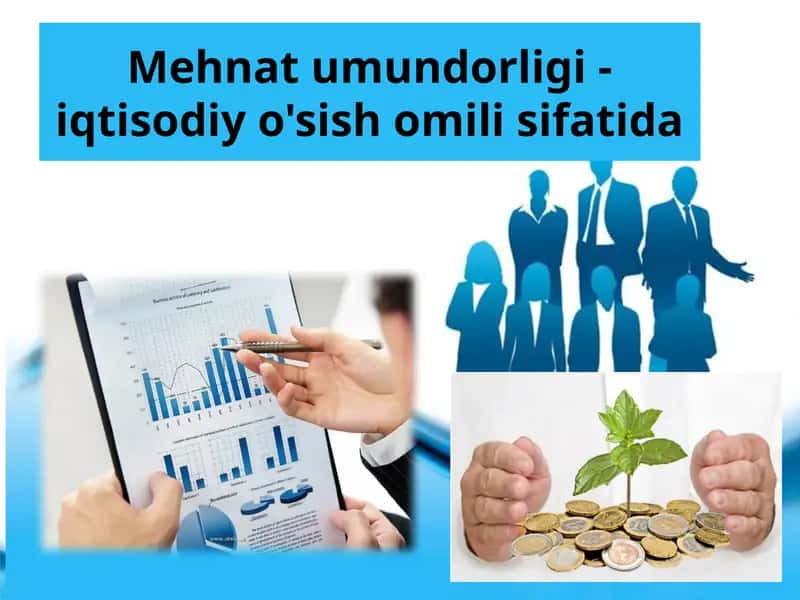 Mehnatunumdorligi- iqtisodiy o'sish omili sifatida 1