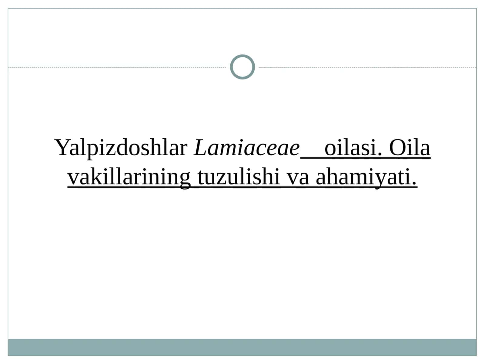 Yalpizdoshlar Lamiaceae oilasi 1