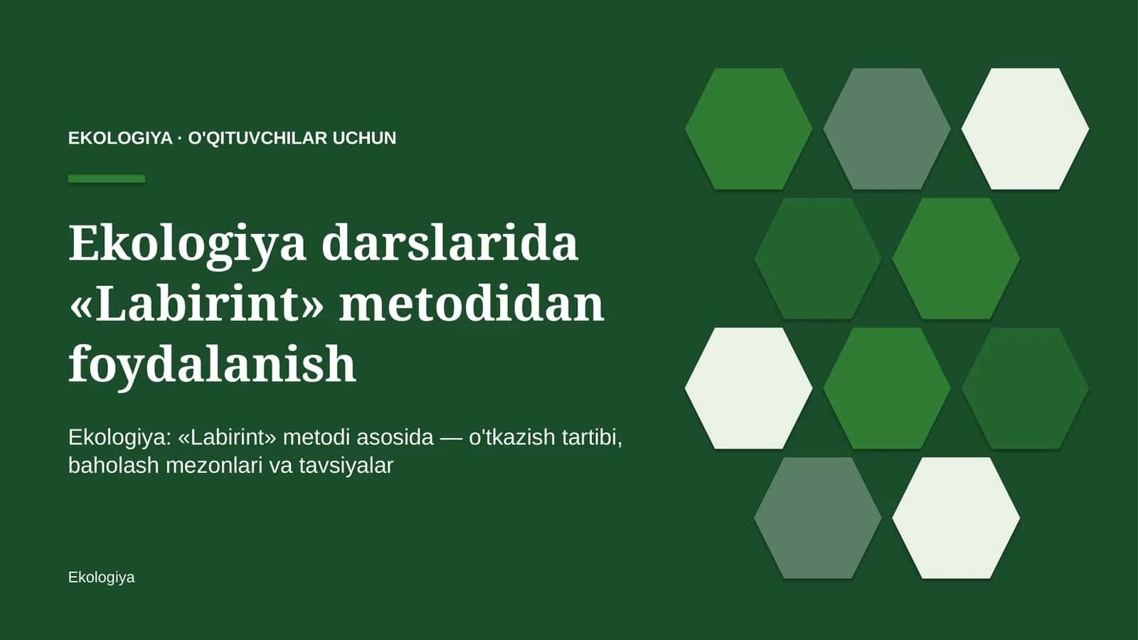 ekologiya darslarida labirint metodidan foydalanish 6557 1