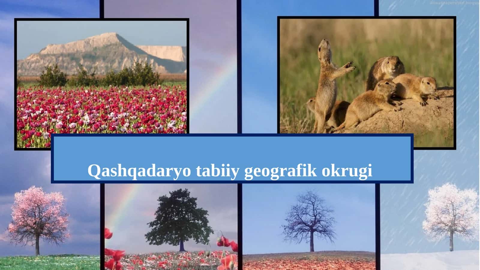 Qashqadaryo tabiiy geografik okrugi 1