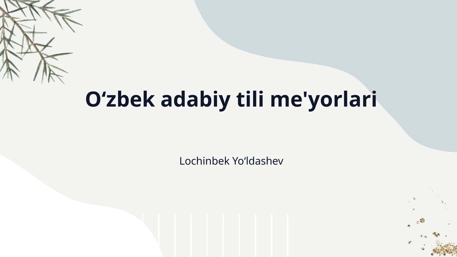 O‘zbek adabiy tili me'yorlari 1
