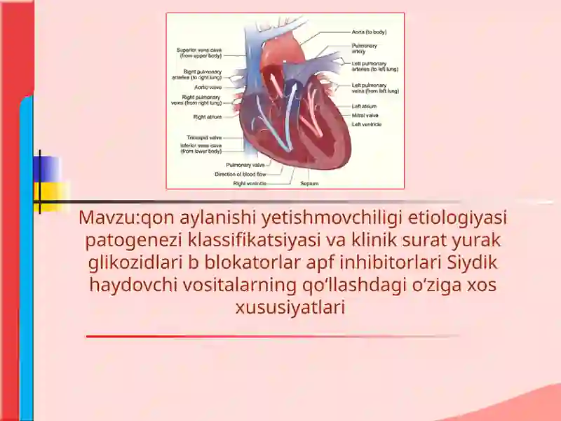 qon aylanishi yetishmovchiligi etiologiyasi patogenezi klassifikatsiyasi va klinik surat yurak glikozidlari b blokatorlar apf inhibitorlari Siydik haydovchi vositalarning qoʻllashdagi oʻziga xos xususiyatlari