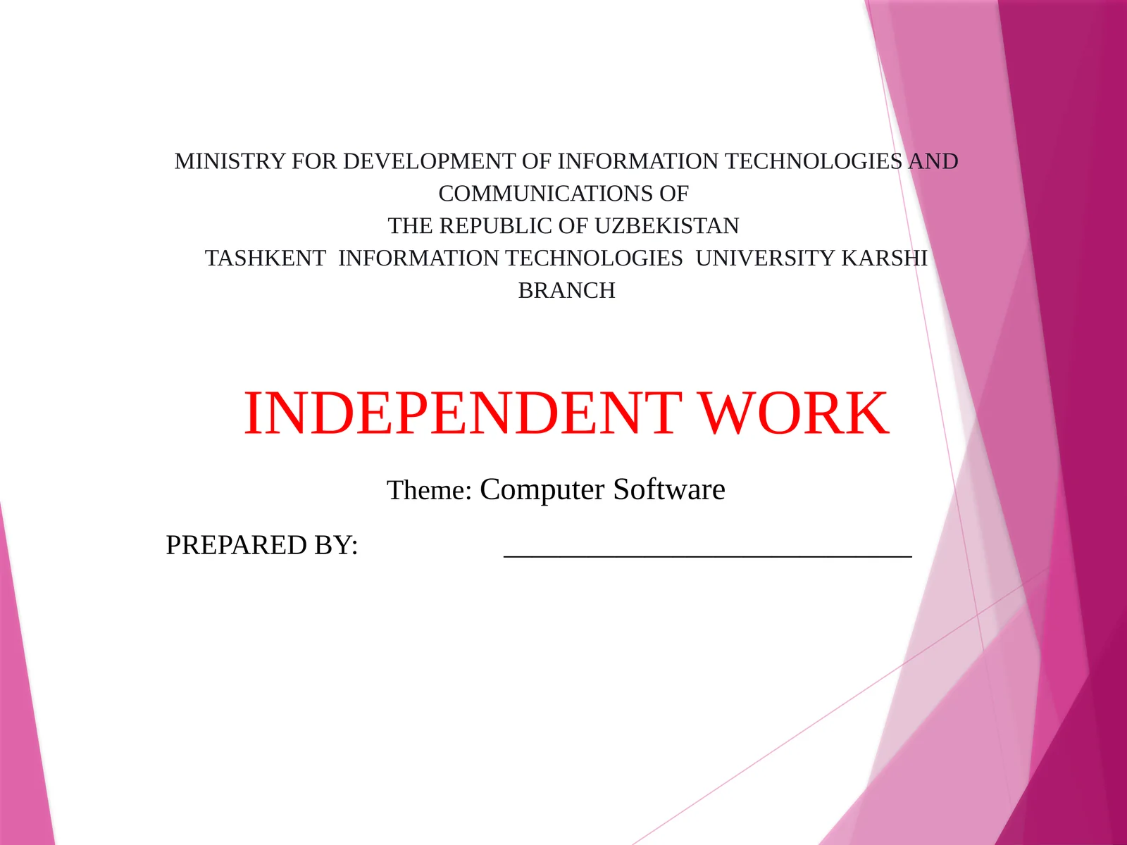 Computer Software 1