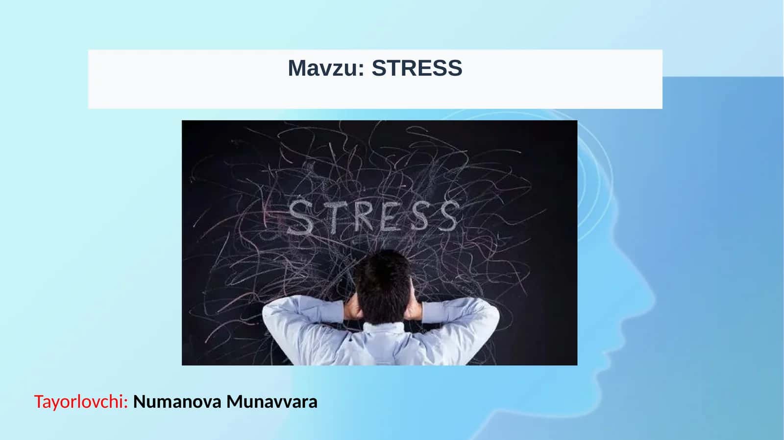STRESS 1