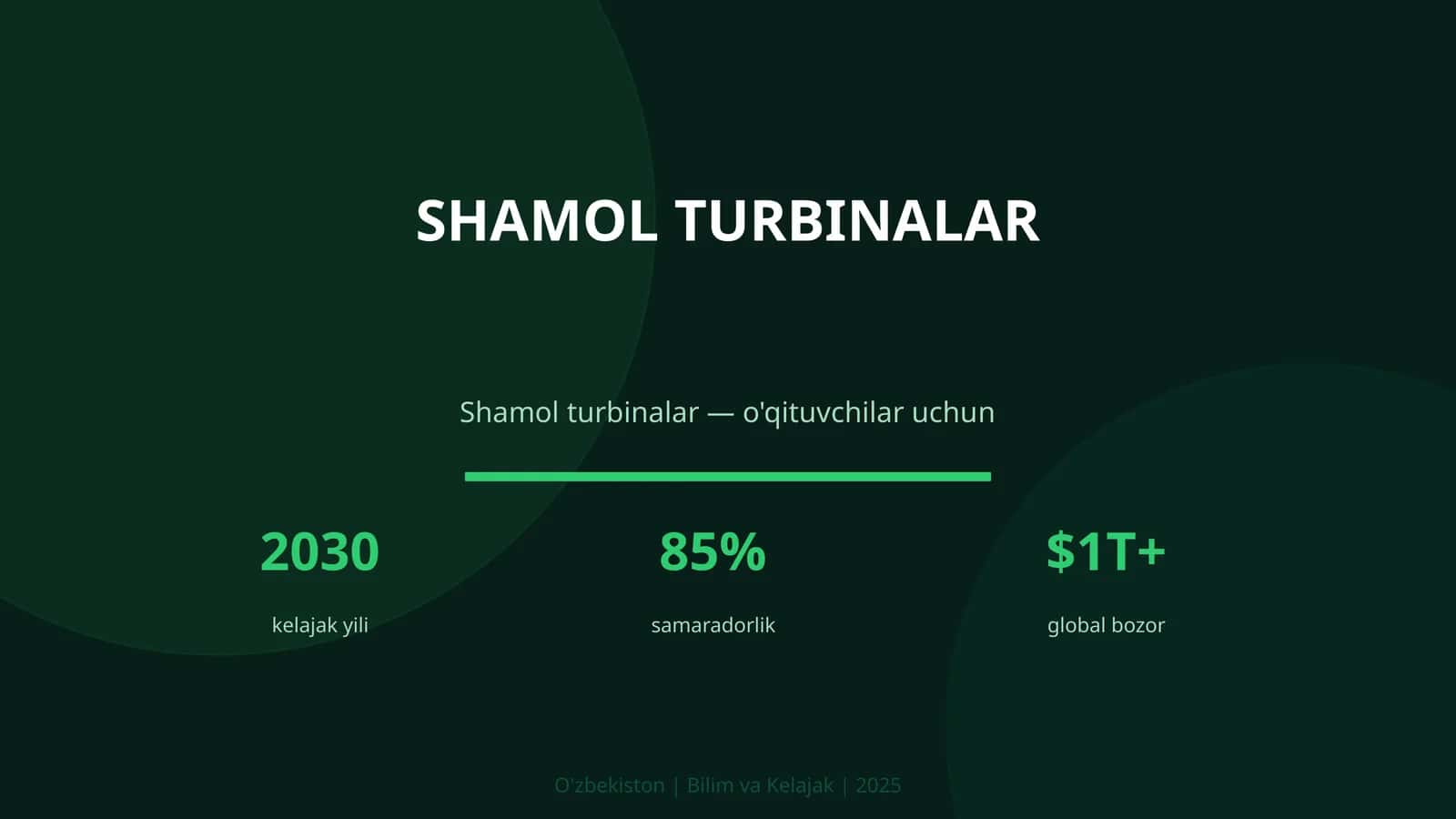 Shamol turbinalar 1