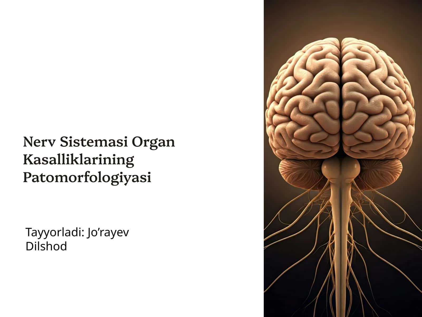 Nerv Sistemasi Organ Kasalliklarining Patomorfologiyasi 1