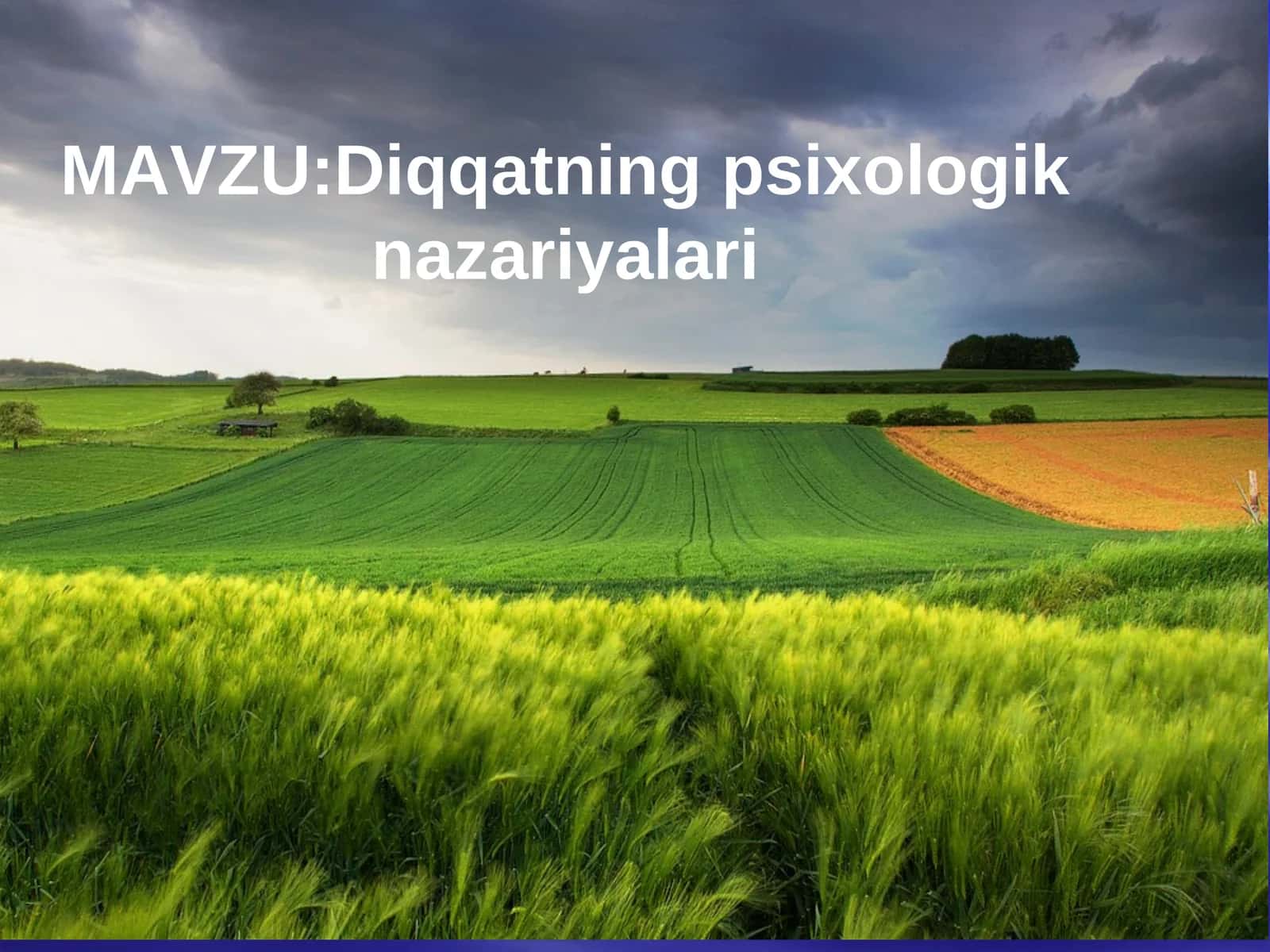 Diqqatning psixologik nazariyalari 1