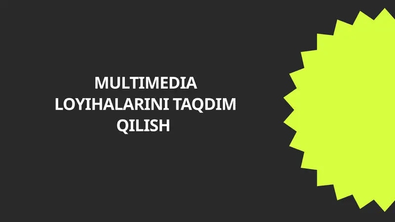 MULTIMEDIA LOYIHALARINI TAQDIM QILISH 1
