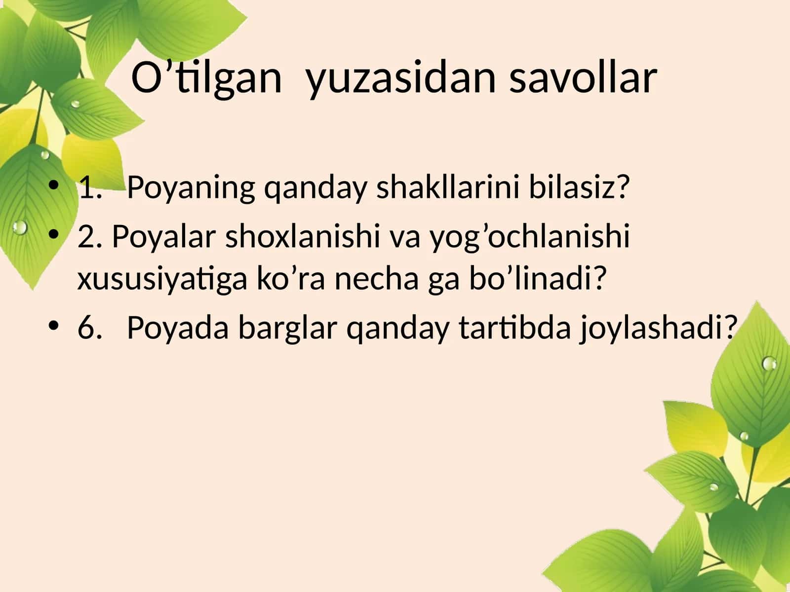 Novda 1