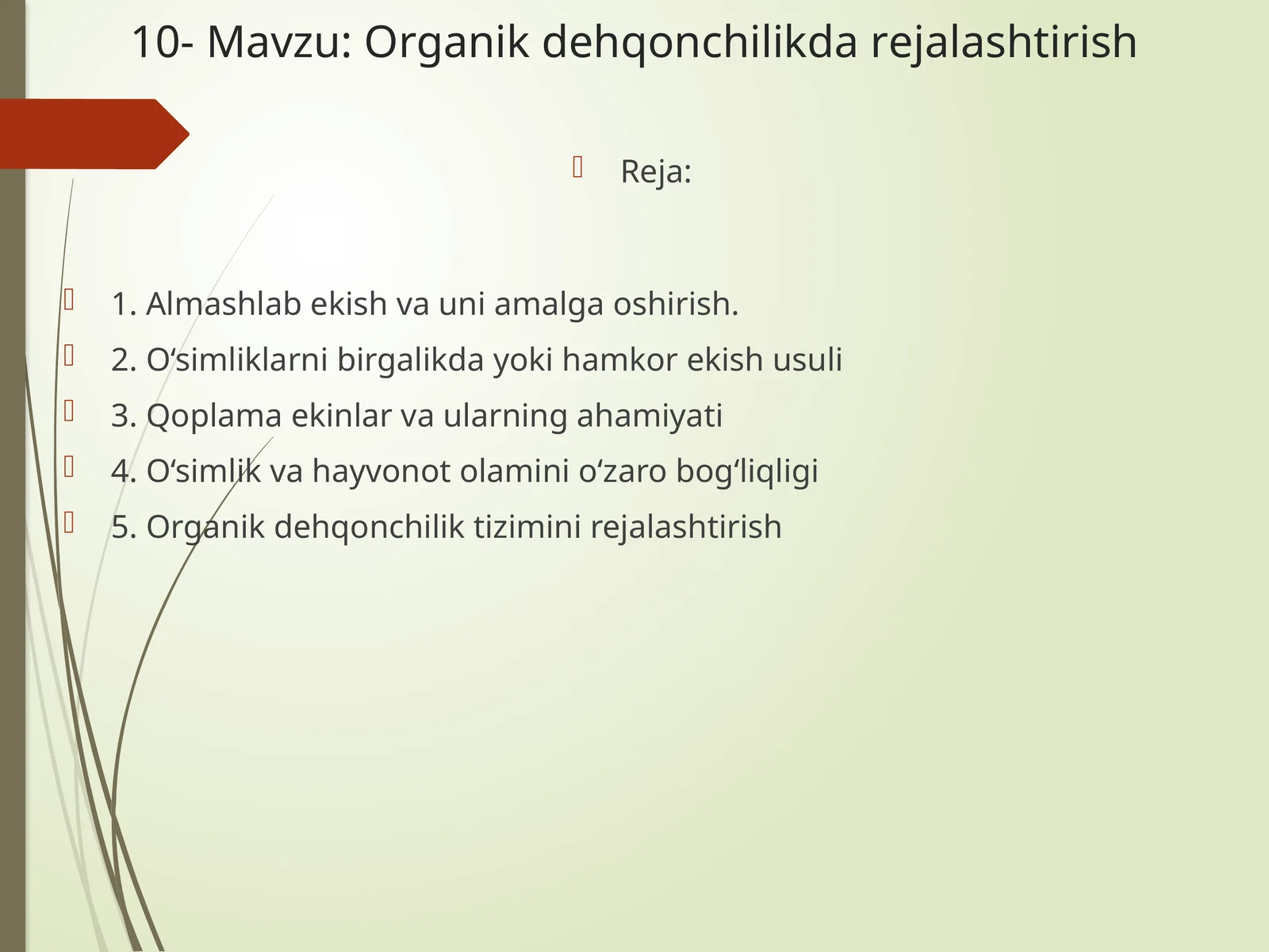 Organik dehqonchilikda rejallashtirish 1