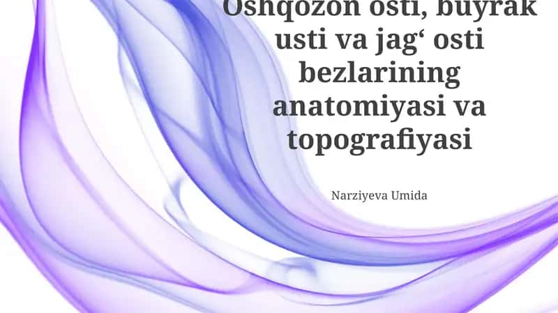 Buyrak usti bezlarining anatomiyasi va topografiyasi 1