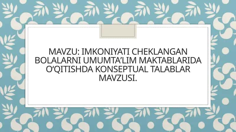 Imkoniyat cheklangan bolalar uchun umumiy ta'lim maktablari darslaridagi konseptual talablar 1