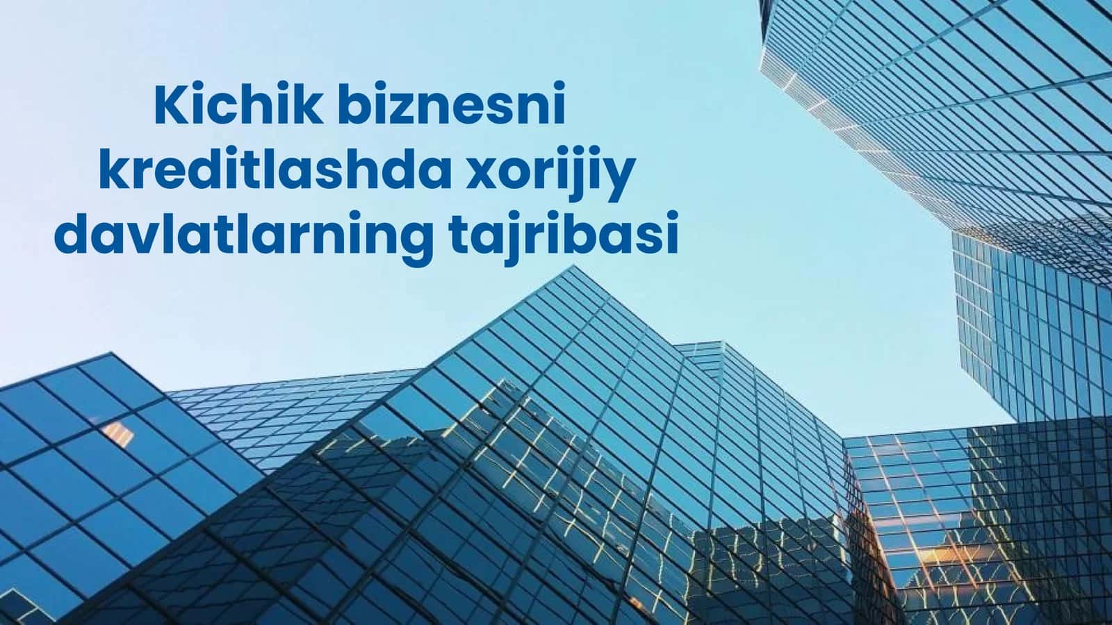 Kichik biznesni kreditlashda xorijiy davlatlarning tajribasi 1