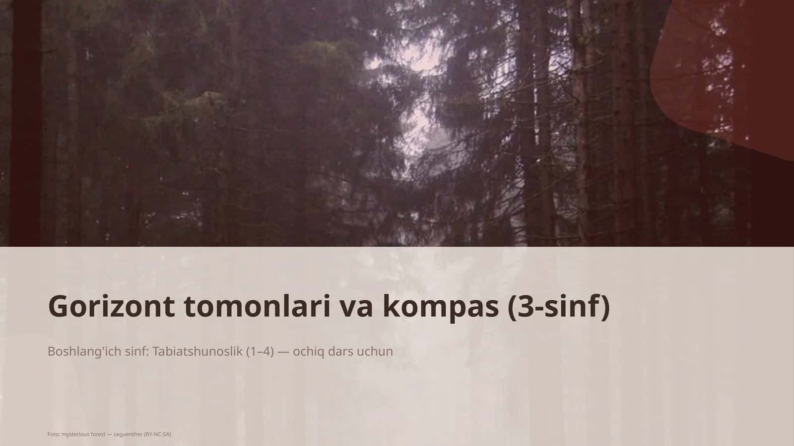 Gorizont tomonlari va kompas (3-sinf) 1
