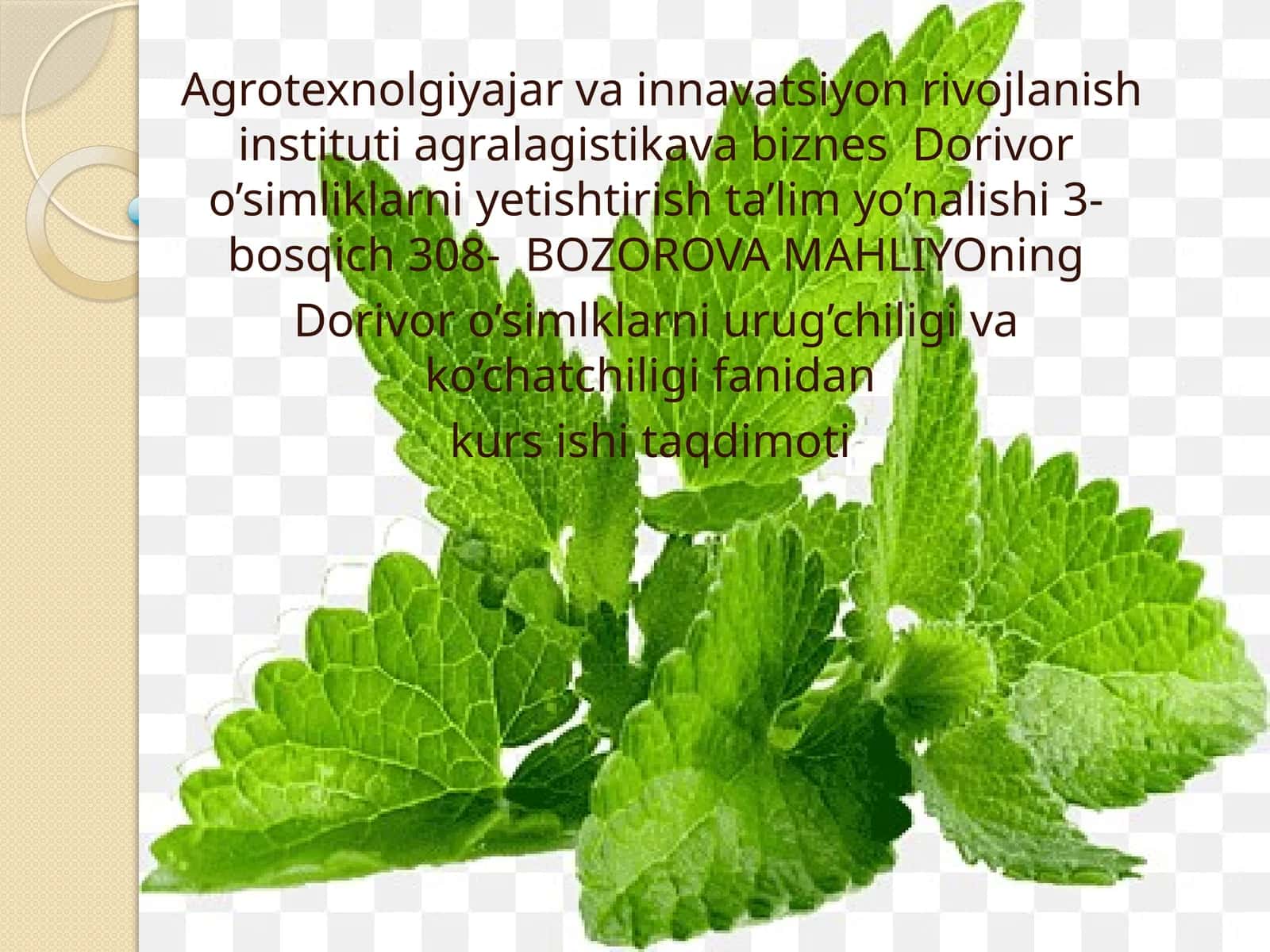 Limono’to’simliginiyetishtirish, dorivorlik xususiyati va umumiy ta’rif 1