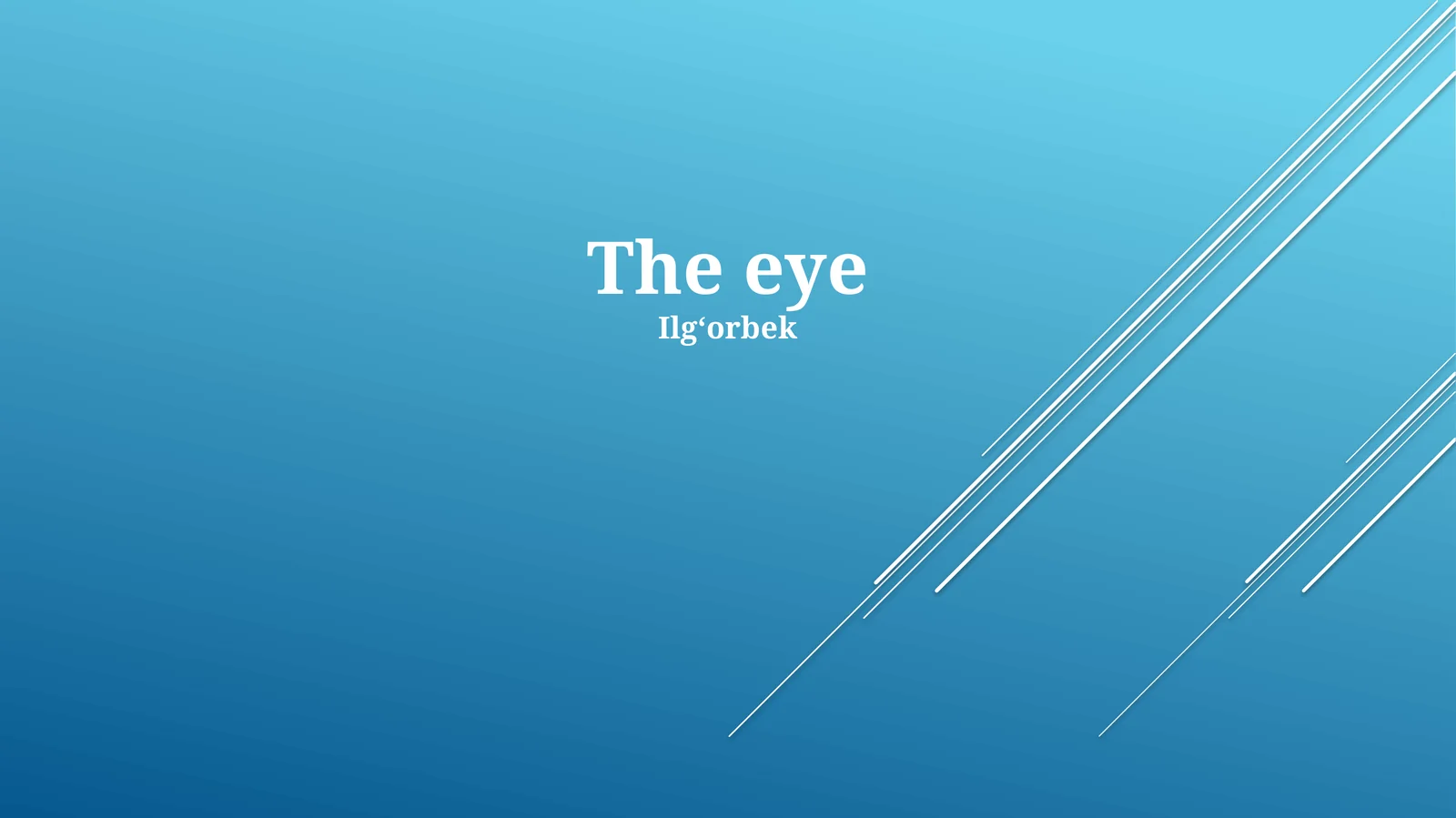 The eye 1