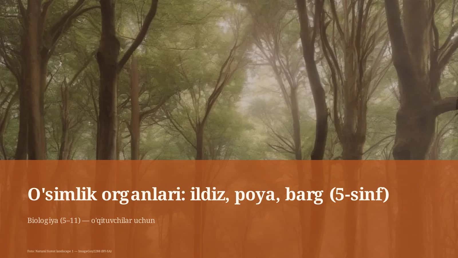 O'simlik organlari: ildiz, poya, barg (5-sinf) 1